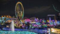 Best Winter Illuminations To See in Tokyo, Japan