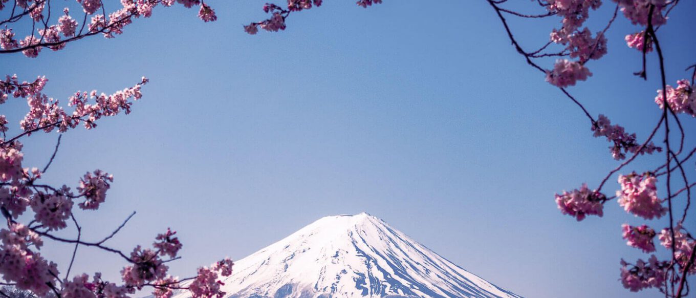 Best Place to see cherry blossom in Japan