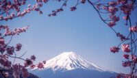 Best Place to see cherry blossom in Japan